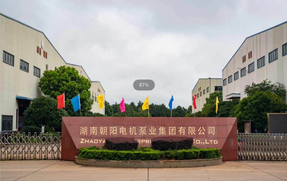 衡東縣政協走進朝陽集團開展視察指導活動 衡東縣政協走進朝陽集團開展視察指導活動